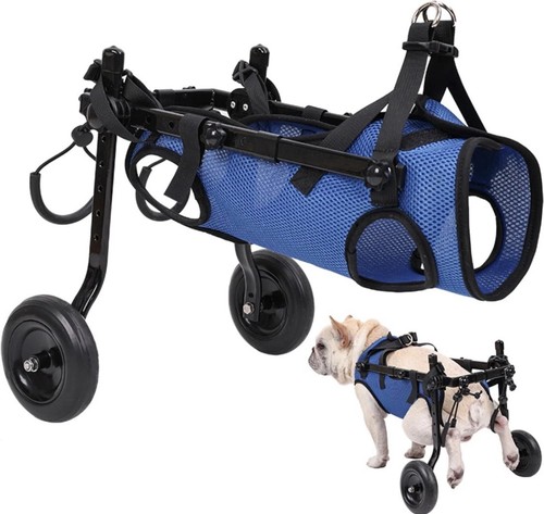 Small dog wheelchair rear leg - dog,