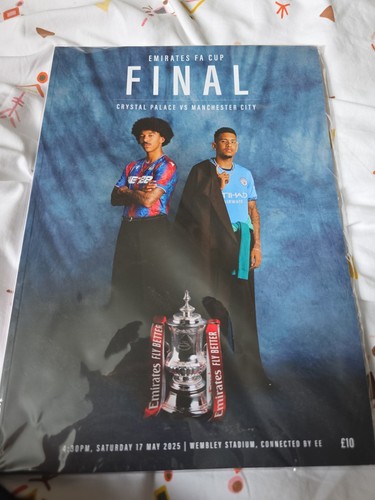 Emirates cup final - emirates,