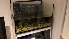 Redsea Max E 260 Tank, cabinet
