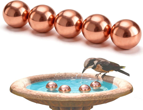 Pcs bird bath - bird, disk