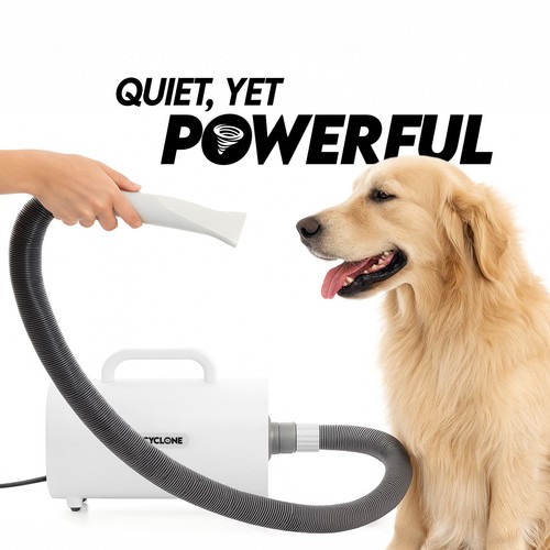 2025 cyclone compact dog - 2025,