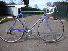 raleigh elan exage 300
