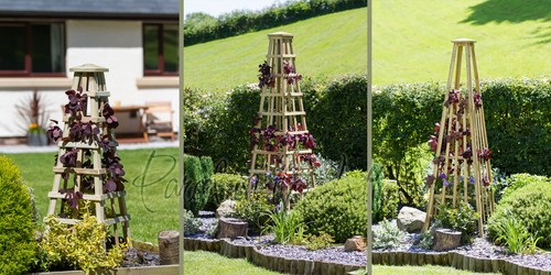 Garden obelisk for - garden, climbing