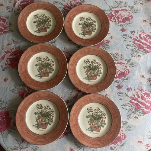 Wedgwood sarah garden - wedgwood, sarah’s