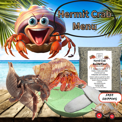 Bugznbits hermit crab booster - bugznbits,