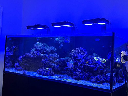 Red sea reefer 750 - sea,