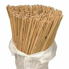 Bamboo Canes Thick Stake