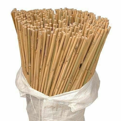 Bamboo canes thick - bamboo,
