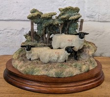 Border Fine Arts Summer Shade