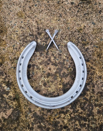 Aluminium horse shoe with - shoe,