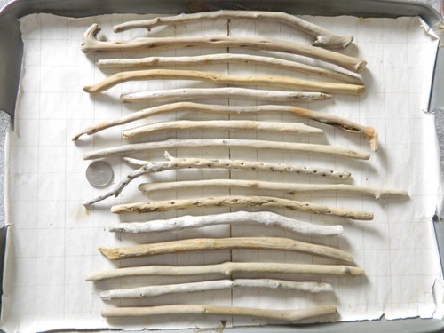 Driftwood stick pieces - driftwood, for