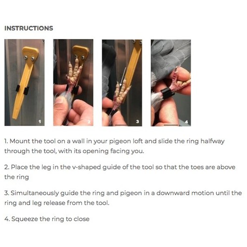 Pigeon leg ring - ring, for