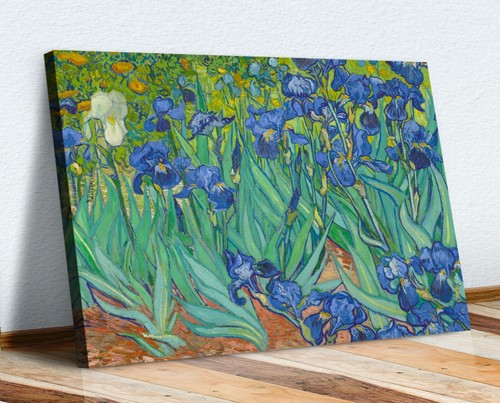 Van gogh irises canvas - van,