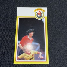 Liverpool Crown Paints Fan