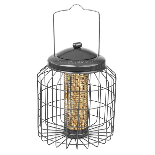 Squirrel proof hanging - proof, bird