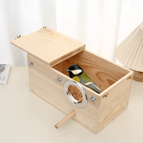Parrot budgie lovebirds wood - parrot,