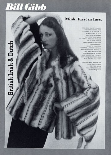 1977 bill gibb mink - bill,