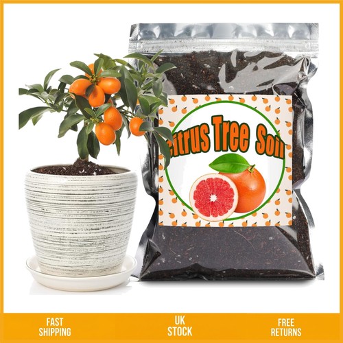 Organic loamy citrus potting - loamy,