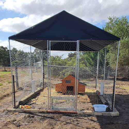 Chicken coop run hen - &,
