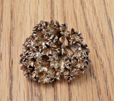 Flora Danica Gold Vermeil