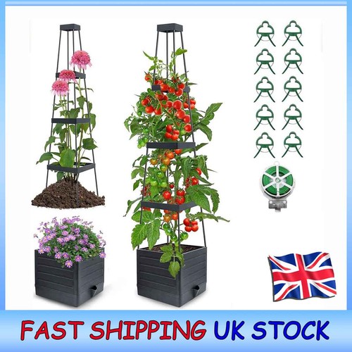 Tier wooden grain tomato - 4-tier,