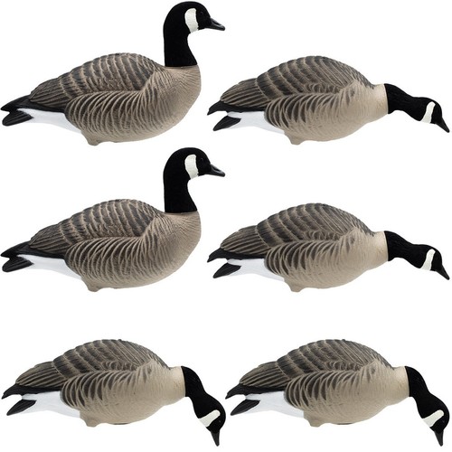 Canada goose full body decoys - canada,