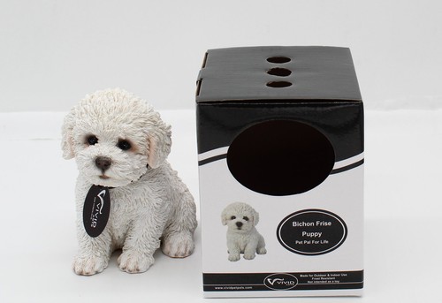 Vivid arts bichon frise - vivid,