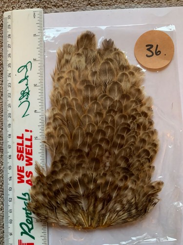Fly tying hen saddle cape - hen,