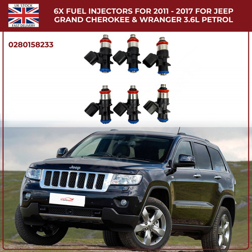 Fuel injectors for 2011 - injectors,