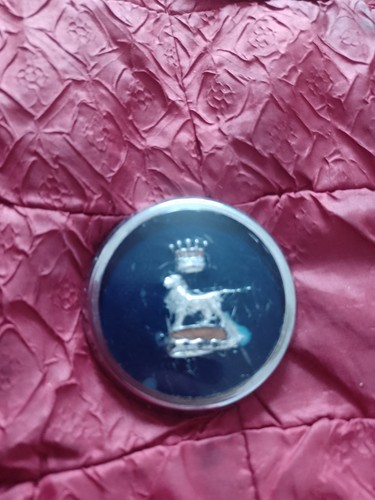 Vintage sunbeam car badge - vintage,