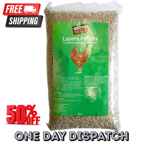 Chicken feed layers - chicken,