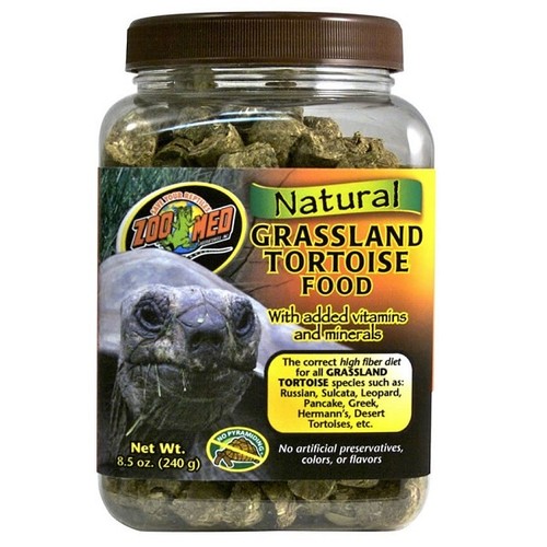 Zoomed grassland tortoise food - zoomed,