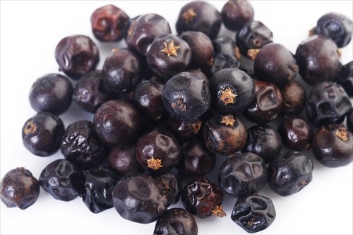 Juniper berries whole - juniper, berries,