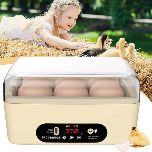 Eggs mini incubator - 6,