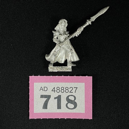 Maiden guard trooper high elf - guard,