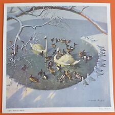 Vintage Retro 1950s Soloman