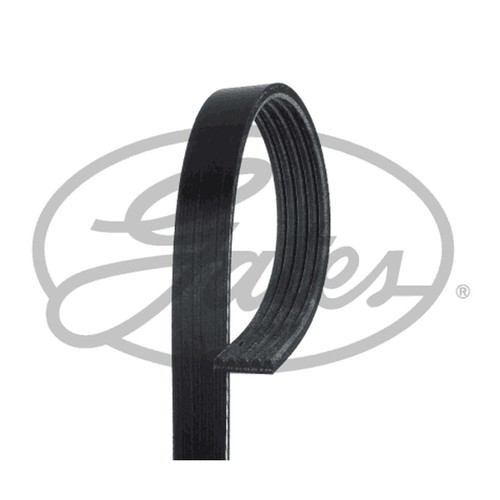 Rib multi drive belt for - rib, v
