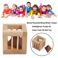 Secret Pyramid Wood Brain