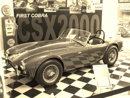 Shelby cobra csx2000 - shelby,