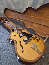 Ibanez FG100 Electric Jazz