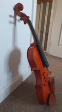 15 inch Viola