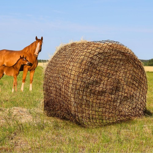 Tongmo 4x4 round - ft,
