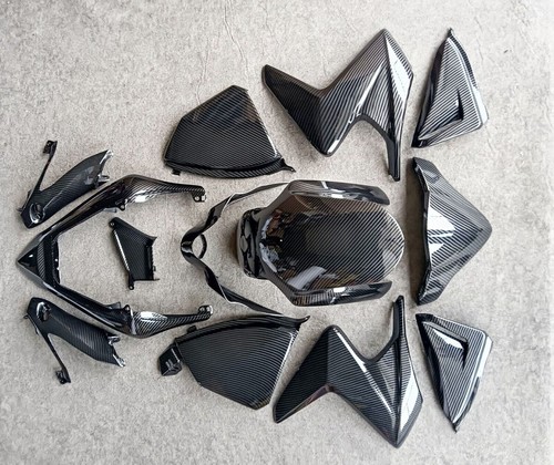 Carbon fiber body work painted - body,