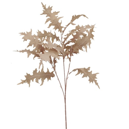Elegant serrated leaves - leaves, –