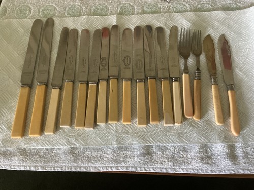 Bone handled knives - bone,