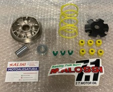 Malossi Multivar Variator PGO