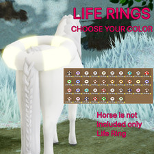 Life Ring Accessory