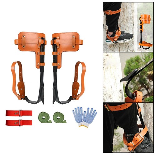 Tree climbing spike outdoor - tree,