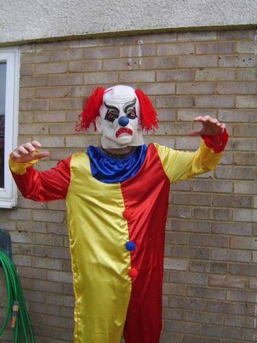 Halloween clown dressing - clown,