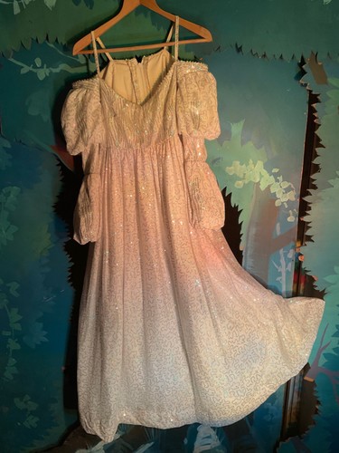 Pantomime costume principal - costume,